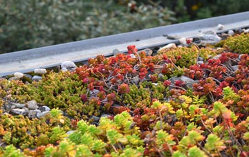 the cost of Preston Capes green roof installation