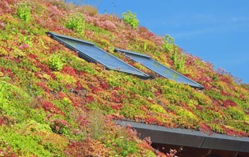 Preston Capes living roof systems