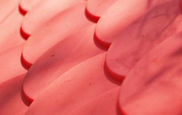 Preston Capes plastic roof costs